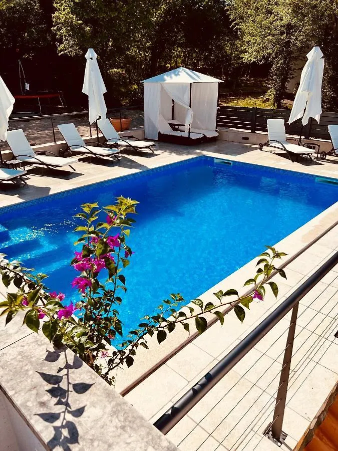 Villa Jela - With Pool Njivice Apartment